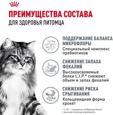 Royal Canin Digestive Care корм для взрослых кошек всех пород, с чувствительной пищеварительной системой