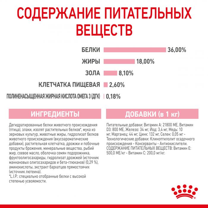 Royal Canin корм для котят всех пород