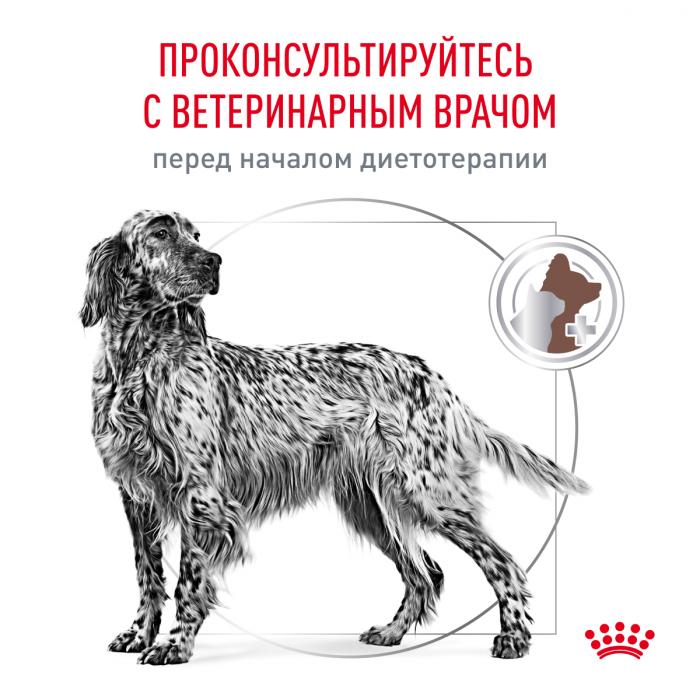 Royal Canin Gastro Intestinal Low Fat лечебный сухой корм для собак с ограниченным содержанием жиров при нарушениях пищеварения