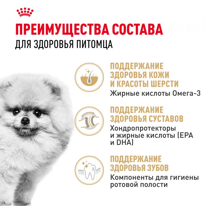 Royal Canin корм для взрослых собак породы Померанский Шпиц