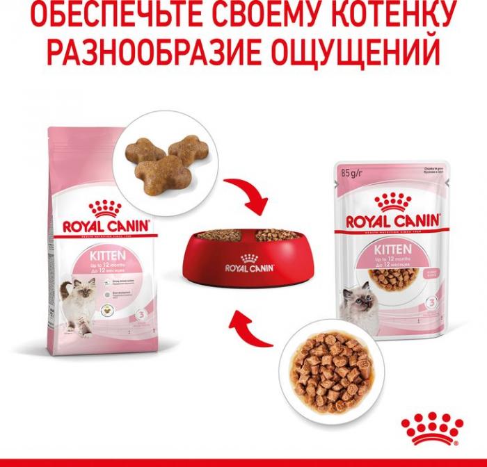Royal Canin влажный корм для котят всех пород, в соусе