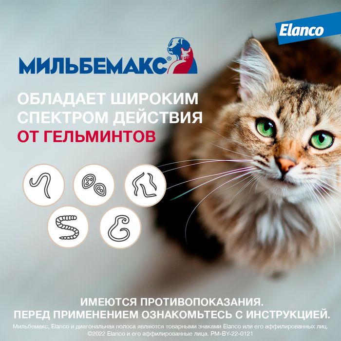 Elanco Мильбемакс таблетки для взрослых кошек, антигельминтик