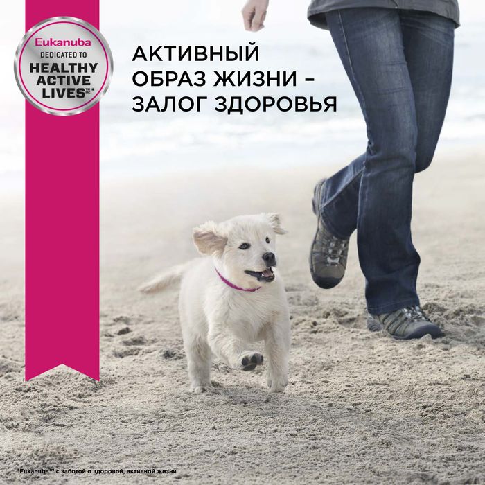 Eukanuba Puppy Large Breed сухой корм для щенков крупных пород с курицей