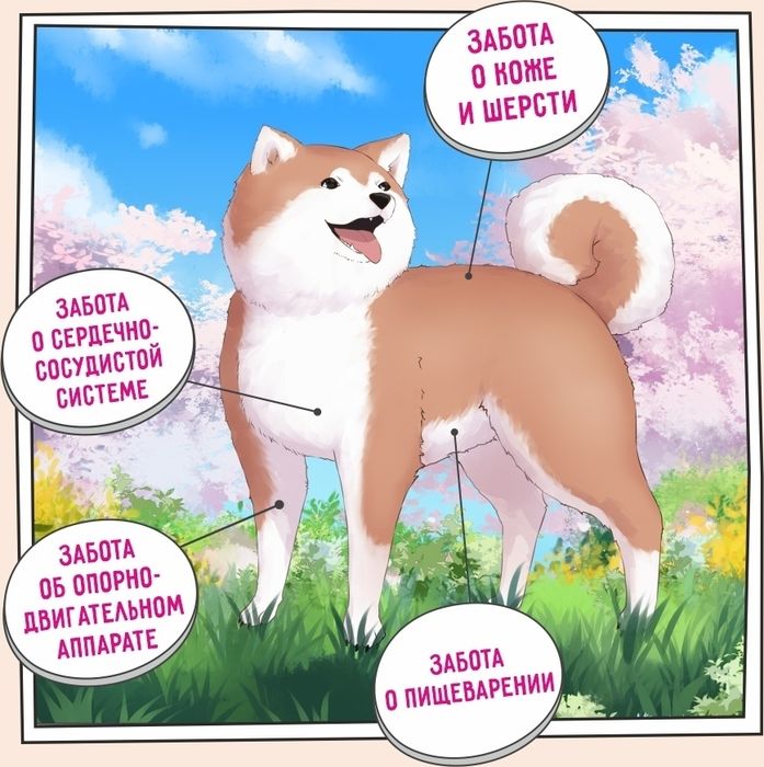 Zillii Adult Dog Large Breed корм для взрослых собак крупных пород, индейка с ягнёнком
