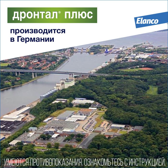Elanco Дронтал плюс таблетки для собак малых и средних пород, от гельминтов, со вкусом мяса
