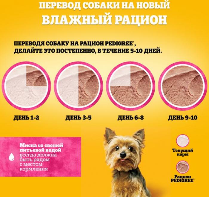 Pedigree влажный корм для взрослых собак миниатюрных пород, паштет из говядины