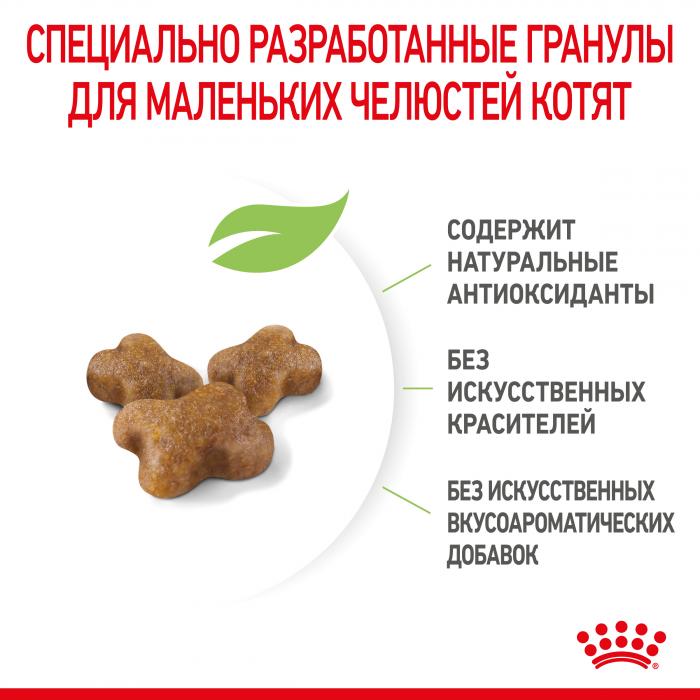Royal Canin корм для котят всех пород