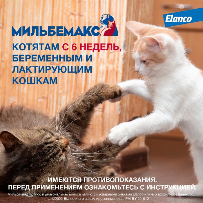 Elanco Мильбемакс таблетки для котят и молодых кошек, антигельминтик