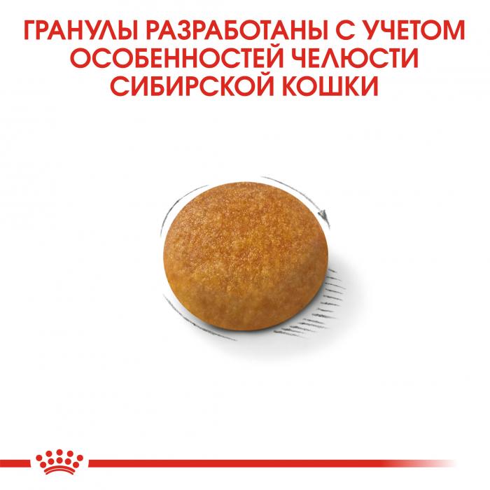 Royal Canin Siberian сухой корм для сибирских кошек