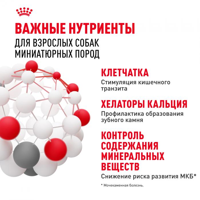 Royal Canin X-Small Adult сухой корм для собак миниатюрных пород