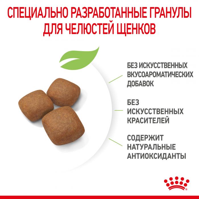 Royal Canin Giant Junior сухой корм для щенков гигантских пород