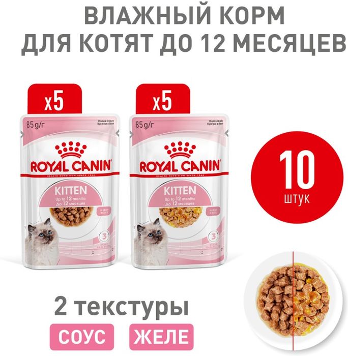 Royal Canin Kitten влажный корм для котят, соус и желе, мультипак (5+5)