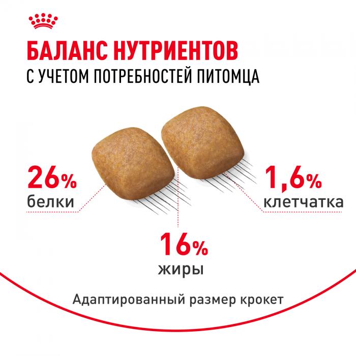 Royal Canin корм для взрослых собак породы Померанский Шпиц
