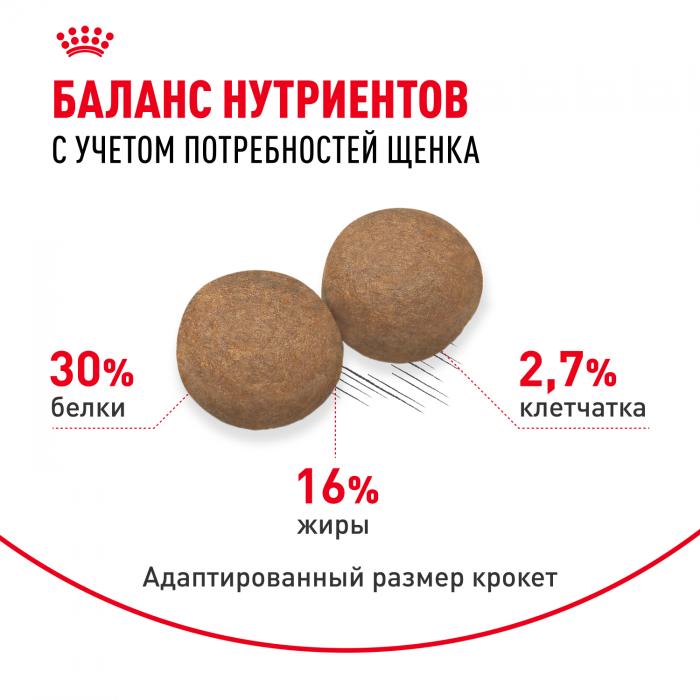 Royal Canin Maxi Puppy сухой корм для щенков крупных пород