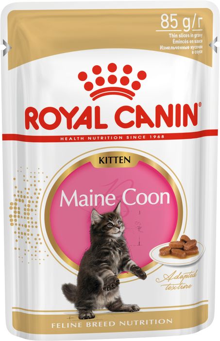 Royal Canin влажный корм для котят породы Мэйн Кун, в соусе