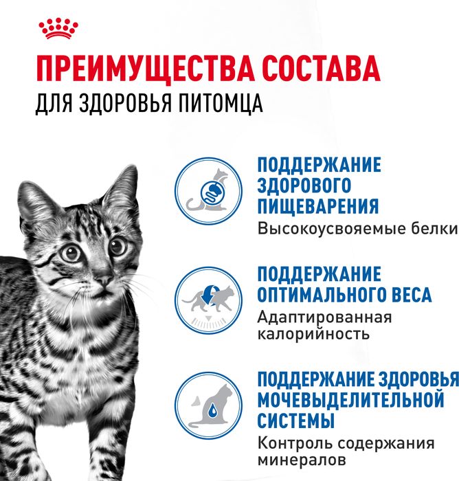 Royal Canin Indoor Sterilised влажный корм для стерилизованных кошек, живущих в помещении, кусочки в желе