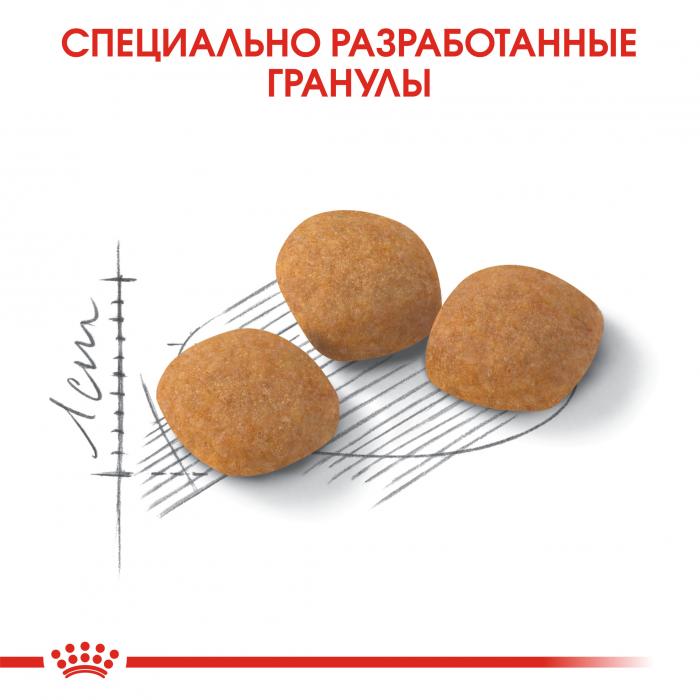 Royal Canin Protein Exigent сухой корм для кошек привередливых к составу продукта