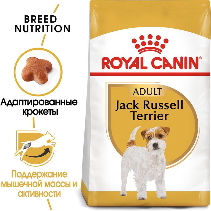 Royal Canin Jack Russell Terrier Adult сухой корм для собак породы джек-рассел-терьер