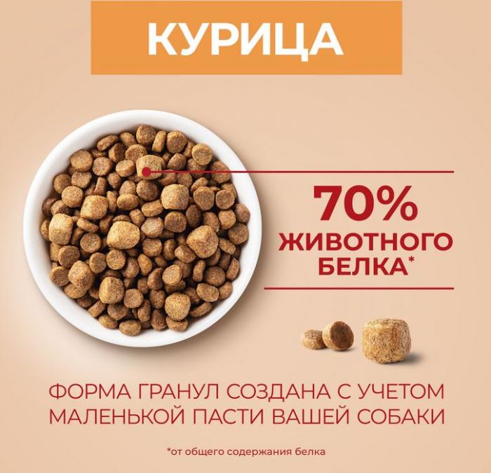 Сухой корм Purina ONE® для собак мелких пород с активным образом жизни, с высоким содержанием курицы и с рисом