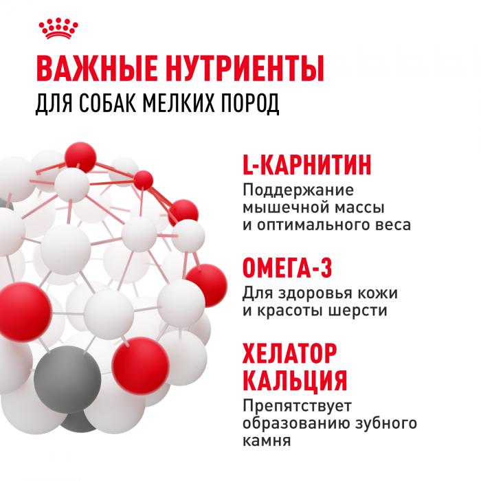 Royal Canin Mini Adult сухой корм для собак мелких пород