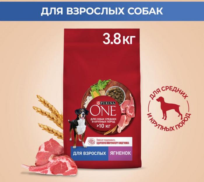 Сухой корм Purina ONE® для взрослых собак средних и крупных пород, с высоким содержанием ягненка и рисом