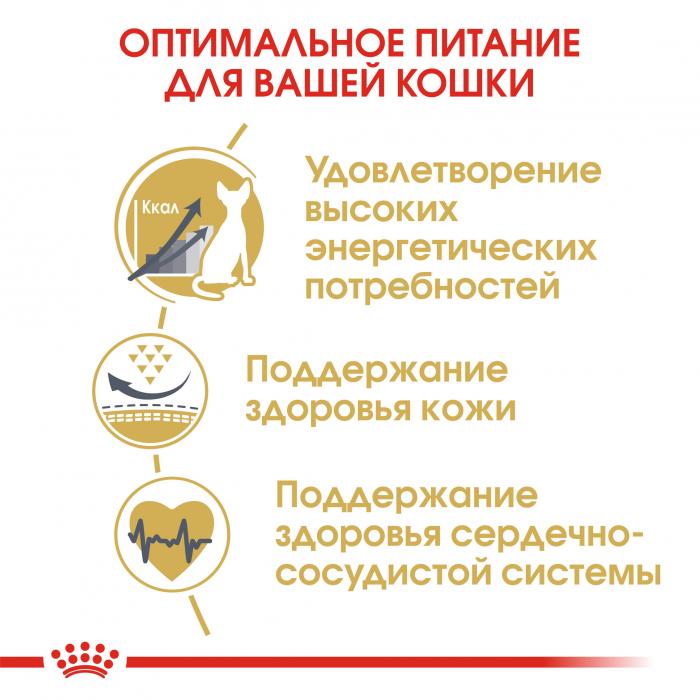 Royal Canin Sphynx сухой корм для кошек породы сфинкс