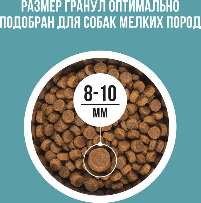 Bowl Wow корм для собак малых пород, с индейкой, рисом и добавлением розмарина