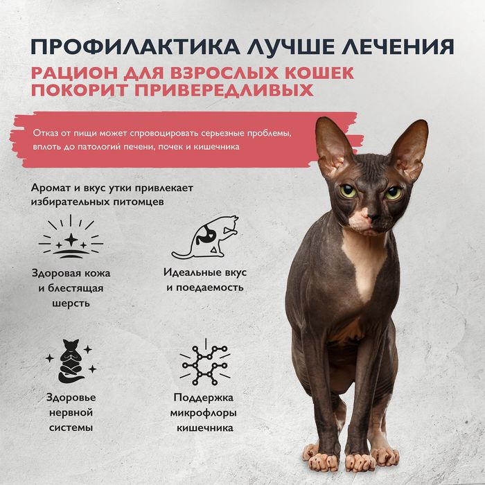 Brit Care Cat Adult Delicious Taste корм для взрослых кошек, индейка с уткой