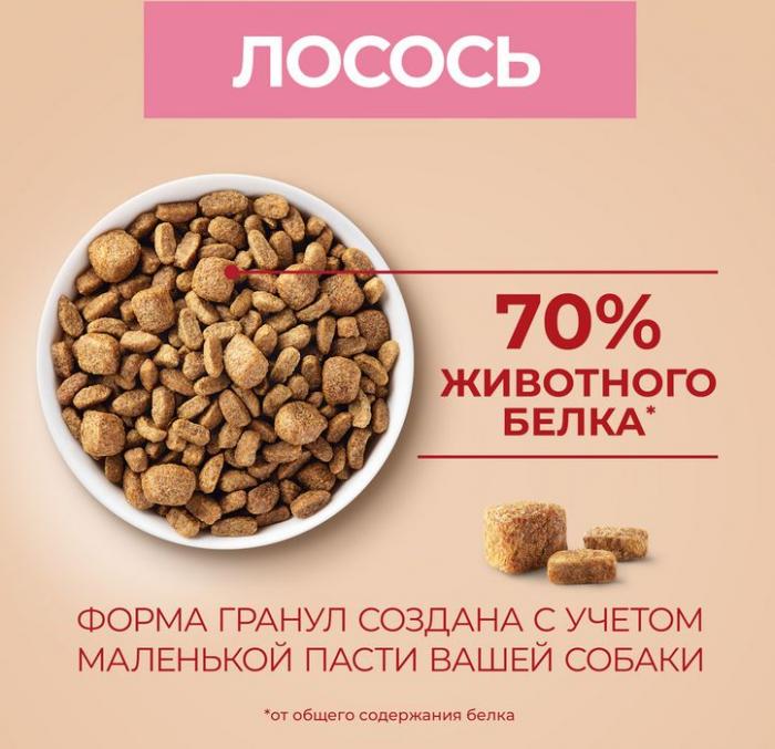 Сухой корм Purina ONE® Мини Чувствительная для взрослых собак мелких пород с чувствительным пищеварением, с лососем и рисом