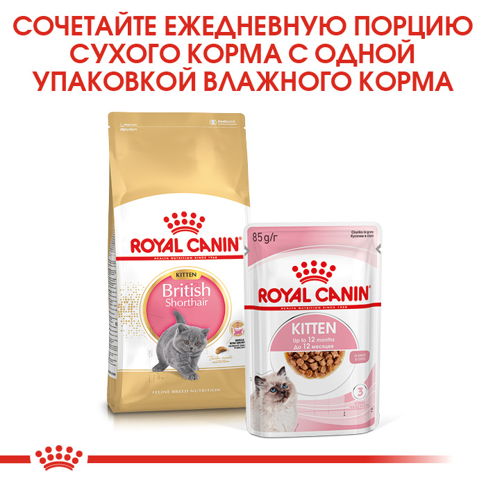 Royal Canin Kitten British Shorthair сухой корм для британских котят