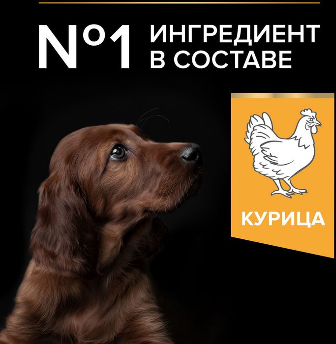 Сухой корм Pro Plan® Healthy Start для щенков крупных пород с атлетическим телосложением, с высоким содержанием курицы