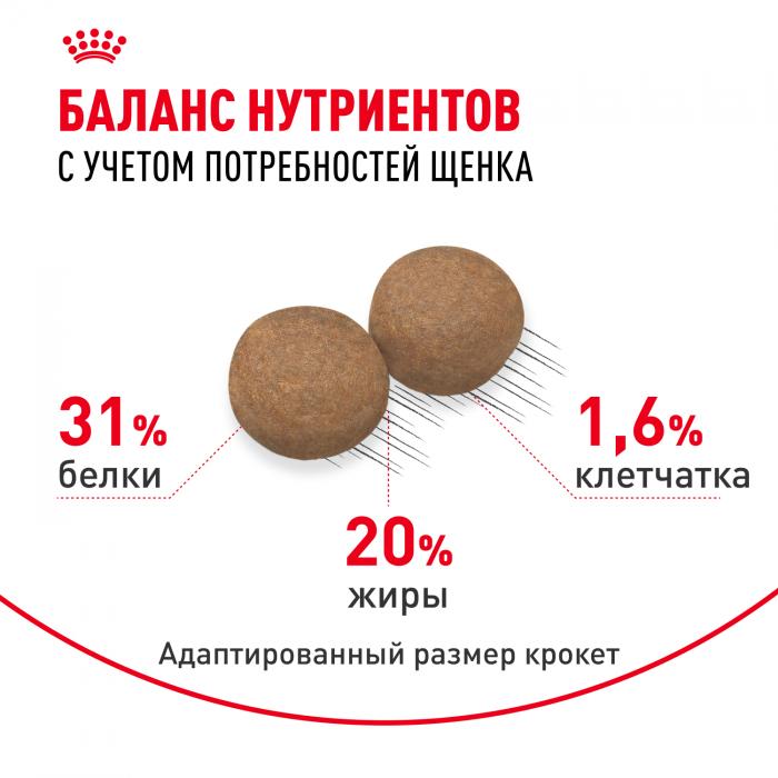 Royal Canin корм для щенков малых пород