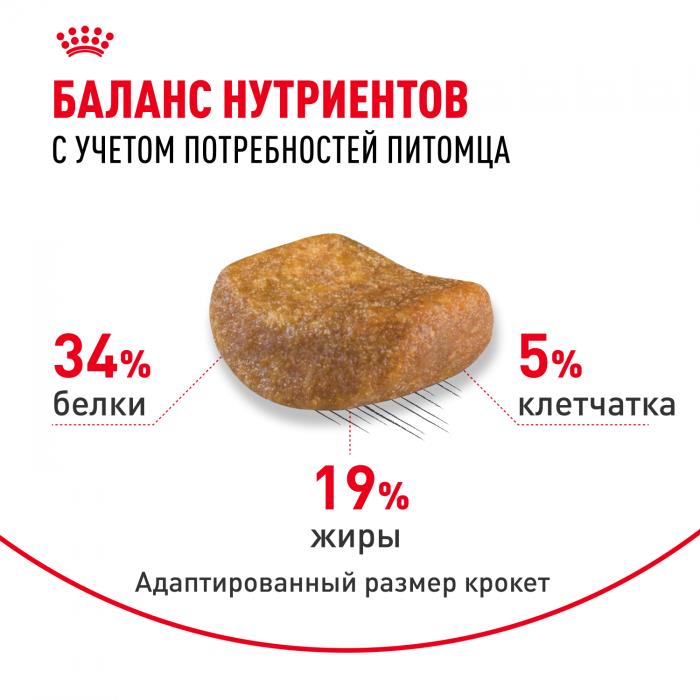 Royal Canin British Shorthair Adult сухой корм для кошек британской короткошерстной породы старше 12 месяцев