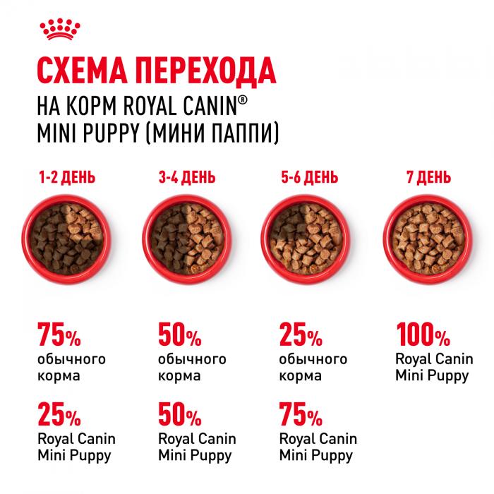 Royal Canin Mini Puppy влажный корм для щенков малых пород с 2 до 10 месяцев