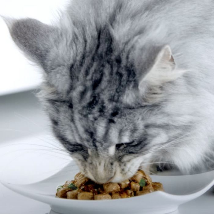 Влажный корм Purina ONE® для домашних кошек, с курицей и морковью