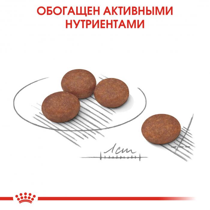 Royal Canin Mini Digestive Care сухой корм для собак мелких пород с чувствительным пищеварением с 10 месяцев до 8 лет