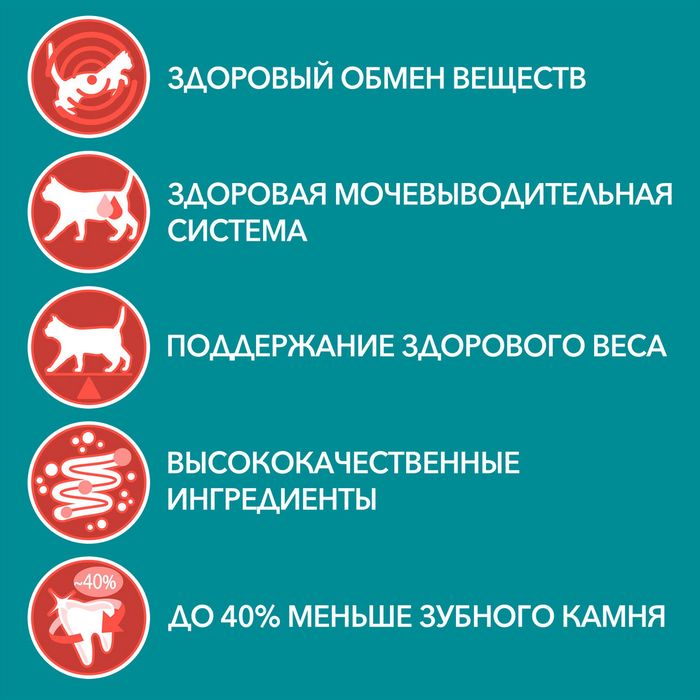 Влажный корм Purina ONE® для стерилизованных кошек, с курицей и зеленой фасолью