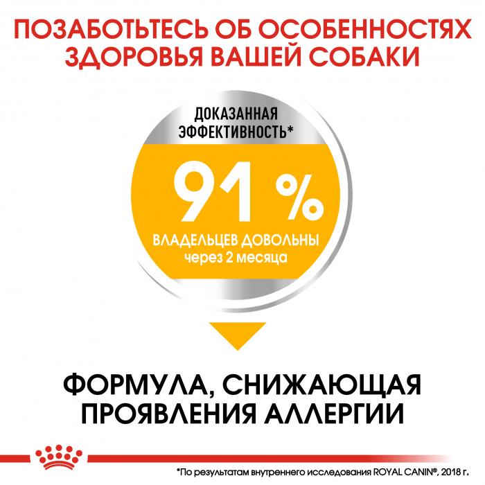 Royal Canin Mini Dermacomfort сухой корм для собак мелких пород с раздраженной и зудящей кожей