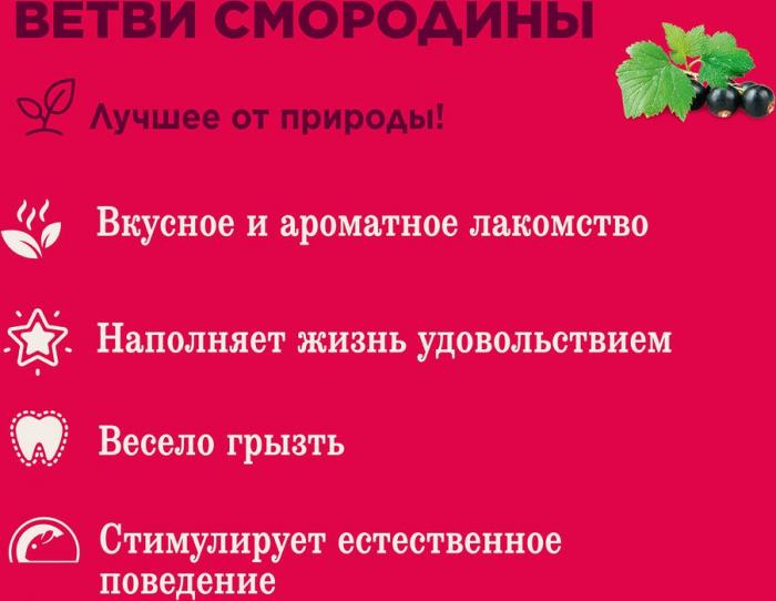 Little One лакомство ветви смородины для ухода за зубами