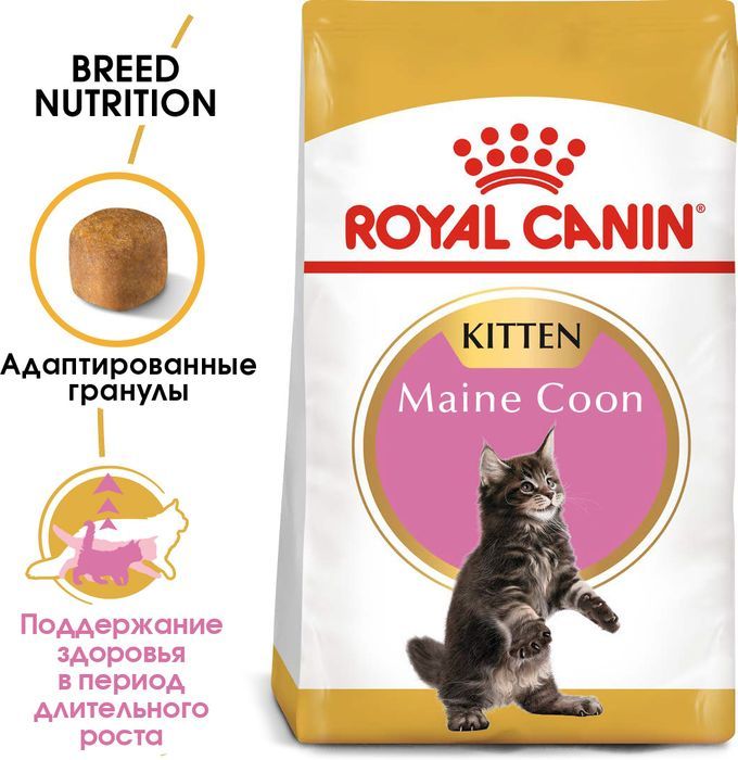 Royal Canin корм для котят породы Мэйн Кун и других крупных пород