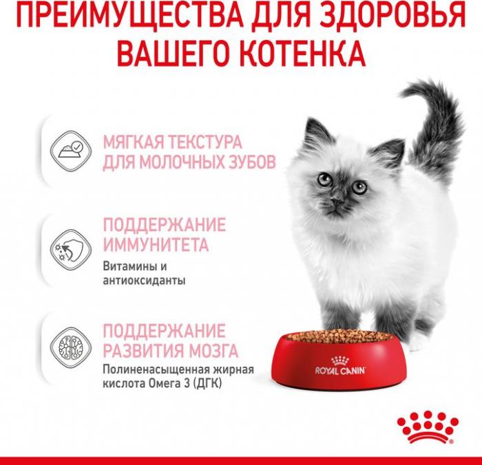 Royal Canin влажный корм для котят всех пород, в соусе