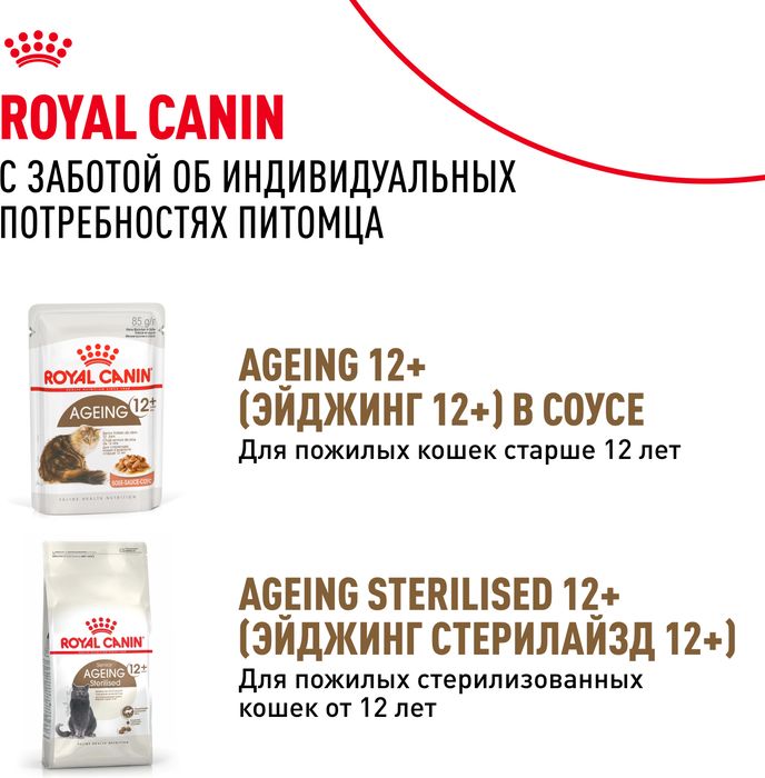 Royal Canin влажный корм для пожилых (12+) кошек, здоровье суставов, почек, мелкие кусочки в желе