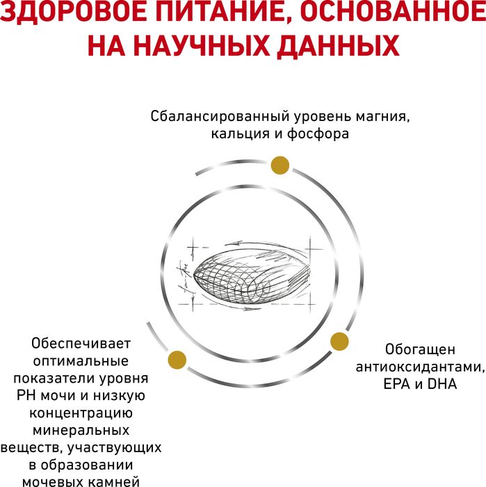 Royal Canin Urinary S/O лечебный сухой корм для собак при заболеваниях мочевыделительной системы