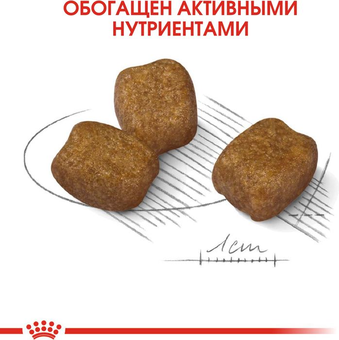 Royal Canin корм для взрослых собак малых пород, предрасположенных к образованию зубного камня