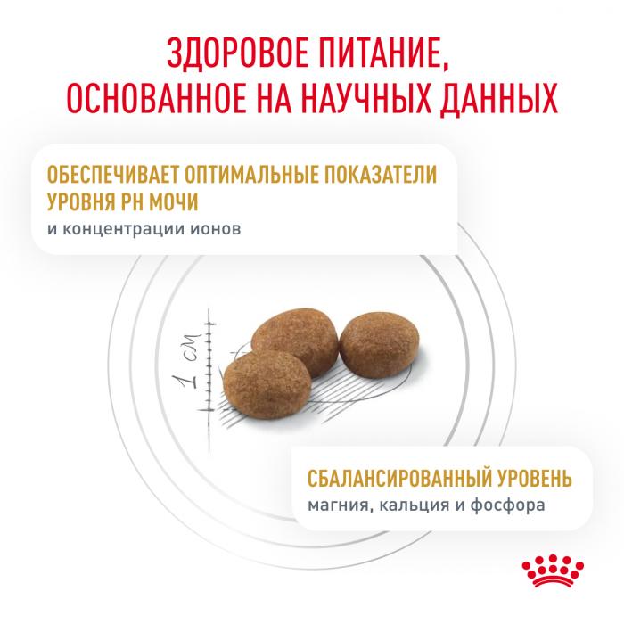 Royal Canin Urinary S/O лечебный корм для кошек для профилактики мочекаменной болезни