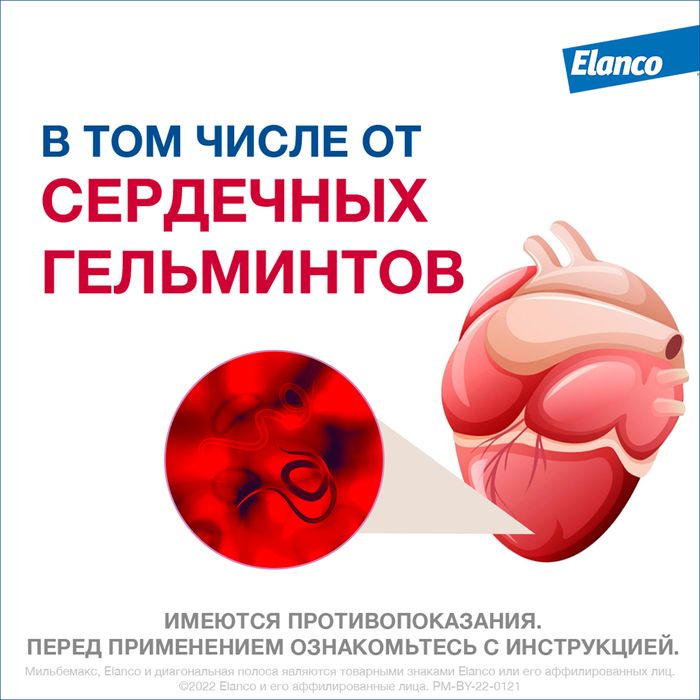 Elanco Мильбемакс таблетки для взрослых собак крупных пород, антигельминтик