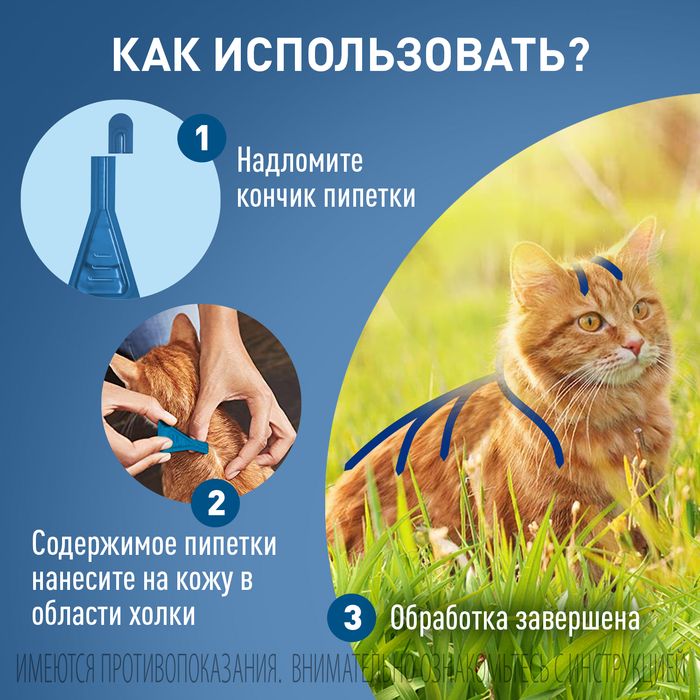 Boehringer Ingelheim Фронтлайн Спот-Он капли для котят и взрослых кошек всех пород