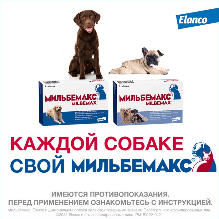 Elanco Мильбемакс таблетки для взрослых собак крупных пород, антигельминтик