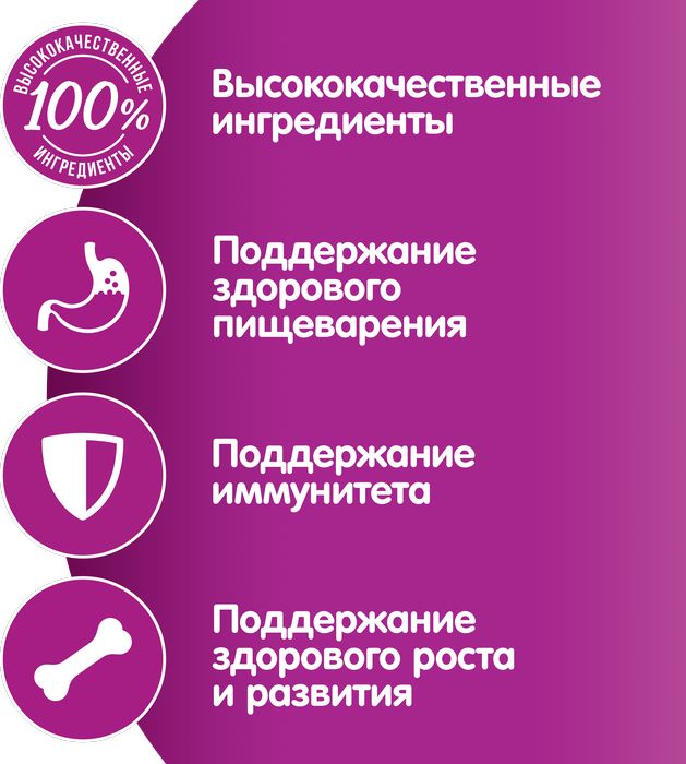 Whiskas влажный корм для котят, паштет с курицей