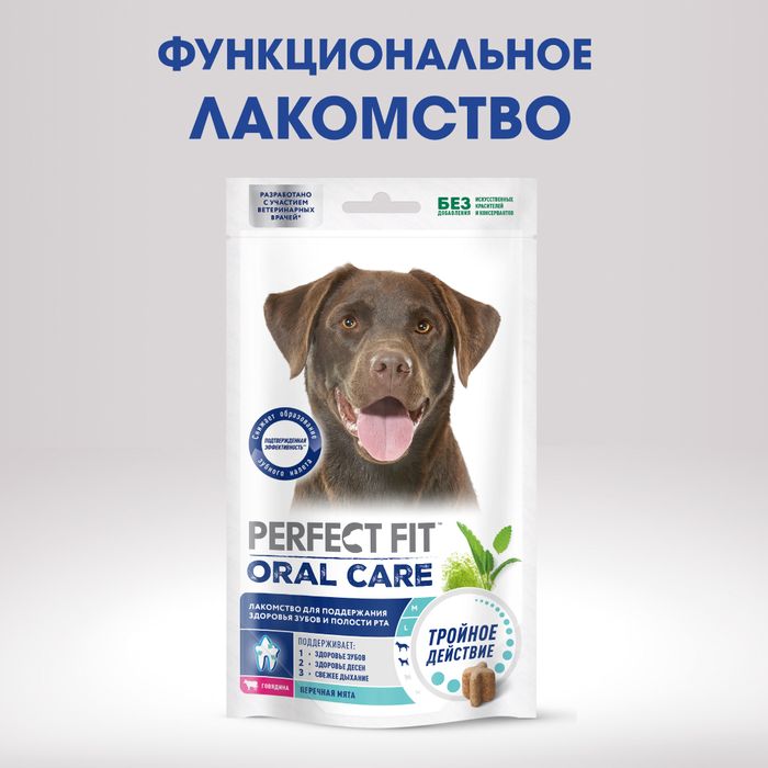 Perfect Fit Oral Care лакомство для собак средних и крупных пород, для поддержания здоровья зубов и полости рта, с говядиной и добавлением мяты